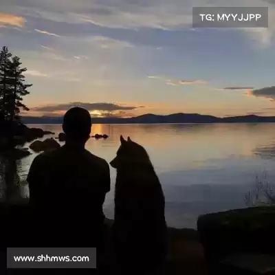 巫易炼